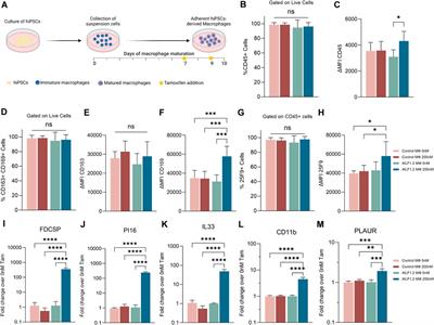 Proteomic analysis reveals a potential role for extracellular vesicles within the erythroblastic island niche